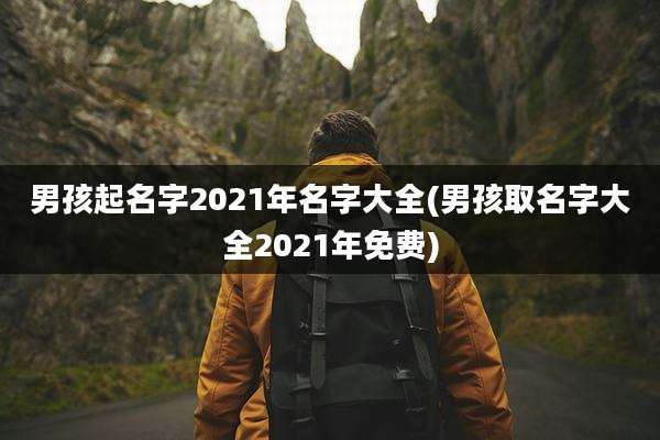 男孩起名字2021年名字大全(男孩取名字大全2021年免费)