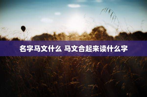 名字马文什么 马文合起来读什么字