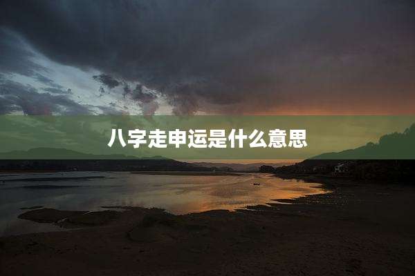 八字走申运是什么意思