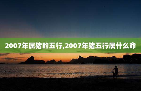 2007年属猪的五行,2007年猪五行属什么命