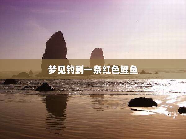 梦见钓到一条红色鲤鱼