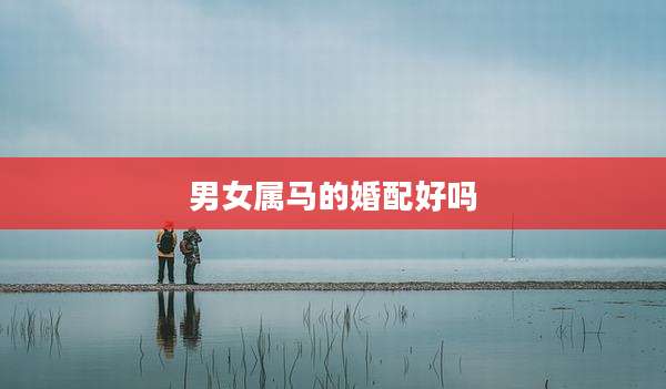 男女属马的婚配好吗