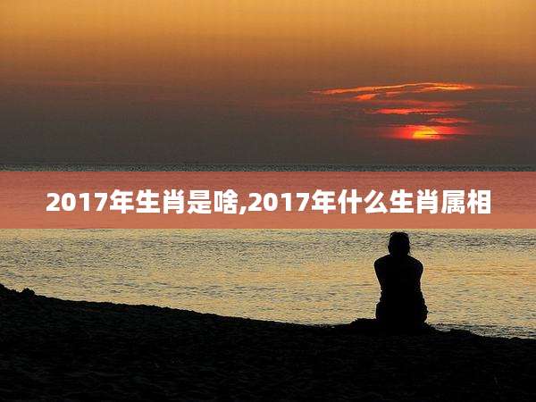 2017年生肖是啥,2017年什么生肖属相