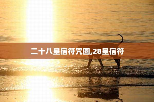 二十八星宿符咒图,28星宿符