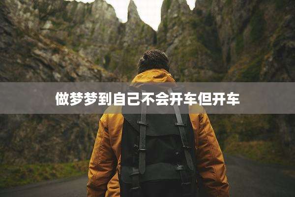 做梦梦到自己不会开车但开车