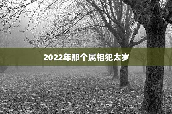 2022年那个属相犯太岁
