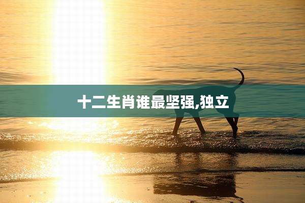 十二生肖谁最坚强,独立