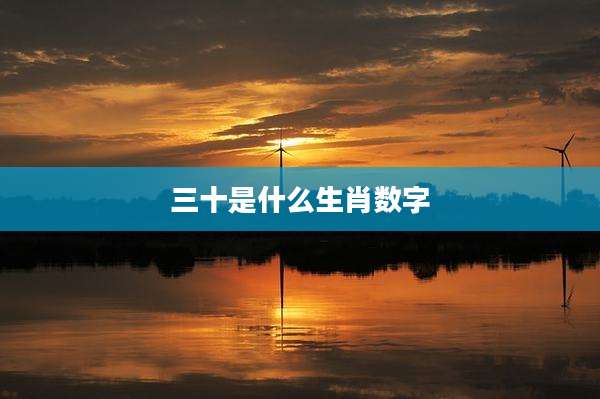 三十是什么生肖数字