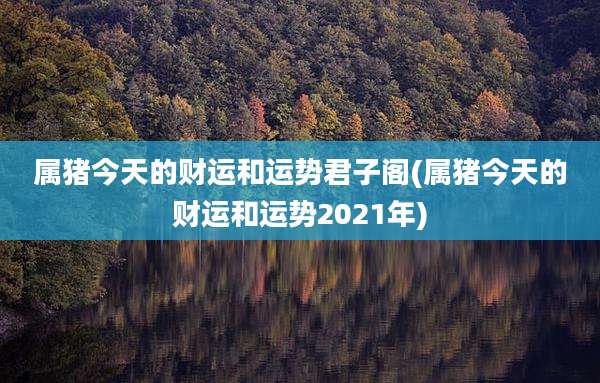 属猪今天的财运和运势君子阁(属猪今天的财运和运势2021年)