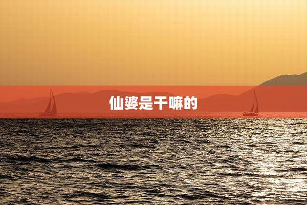 仙婆是干嘛的