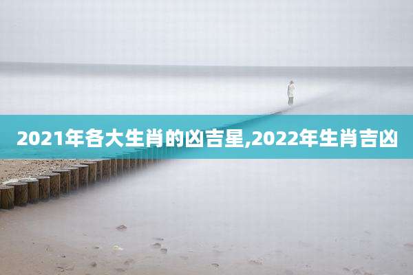 2021年各大生肖的凶吉星,2022年生肖吉凶