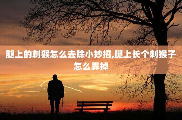 腿上的刺猴怎么去除小妙招,腿上长个刺猴子怎么弄掉