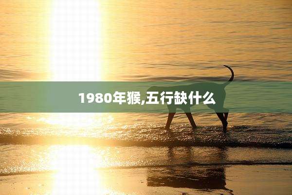 1980年猴,五行缺什么