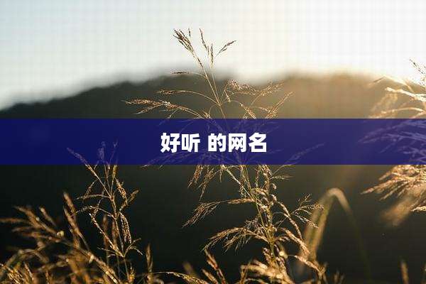 好听 的网名