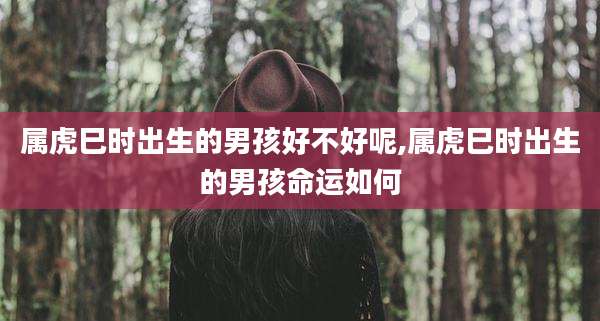 属虎巳时出生的男孩好不好呢,属虎巳时出生的男孩命运如何