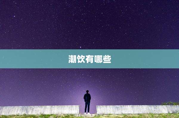 潮饮有哪些