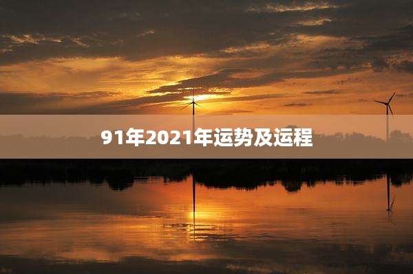 91年2021年运势及运程