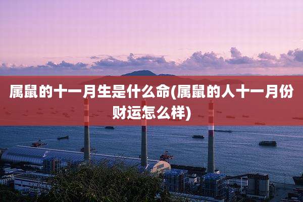 属鼠的十一月生是什么命(属鼠的人十一月份财运怎么样)