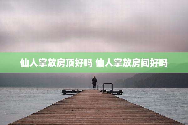 仙人掌放房顶好吗 仙人掌放房间好吗