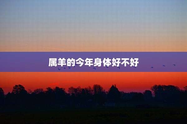 属羊的今年身体好不好