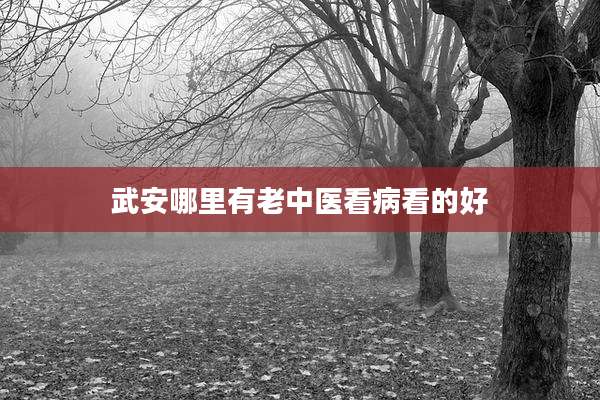武安哪里有老中医看病看的好