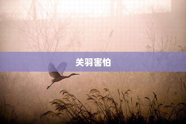 关羽害怕