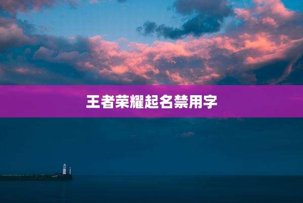 王者荣耀起名禁用字