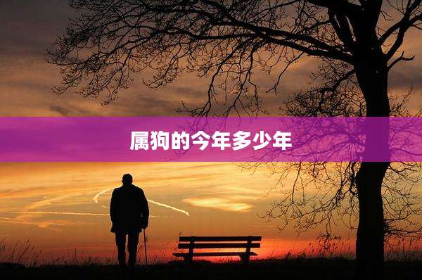 属狗的今年多少年