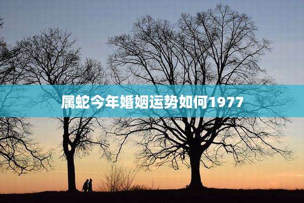 属蛇今年婚姻运势如何1977