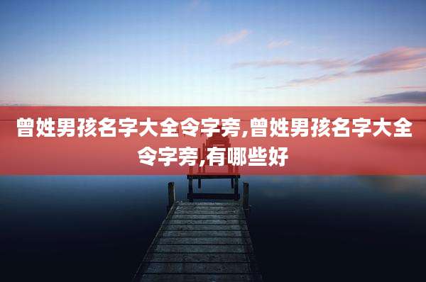 曾姓男孩名字大全令字旁,曾姓男孩名字大全令字旁,有哪些好