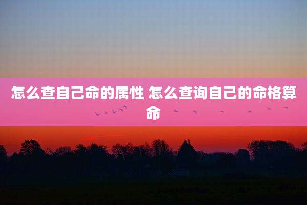 怎么查自己命的属性 怎么查询自己的命格算命
