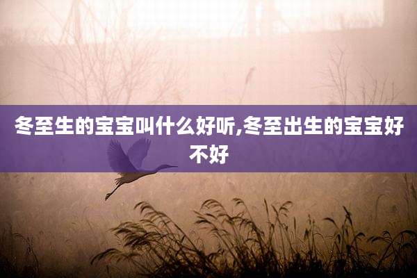 冬至生的宝宝叫什么好听,冬至出生的宝宝好不好