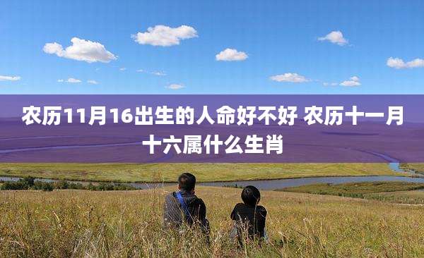 农历11月16出生的人命好不好 农历十一月十六属什么生肖