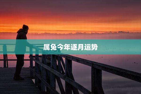 属兔今年逐月运势