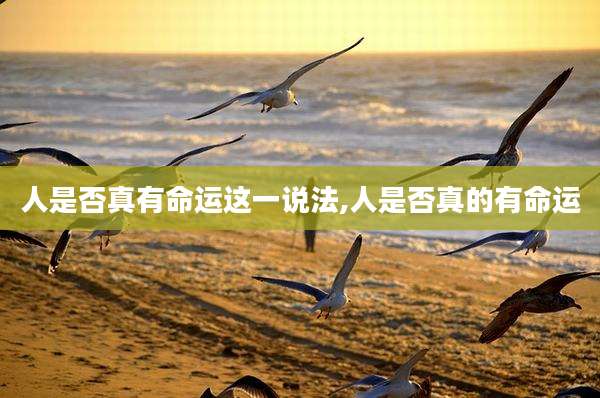 人是否真有命运这一说法,人是否真的有命运