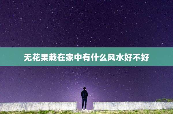无花果栽在家中有什么风水好不好