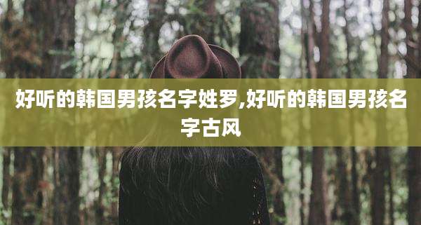 好听的韩国男孩名字姓罗,好听的韩国男孩名字古风