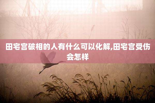 田宅宫破相的人有什么可以化解,田宅宫受伤会怎样
