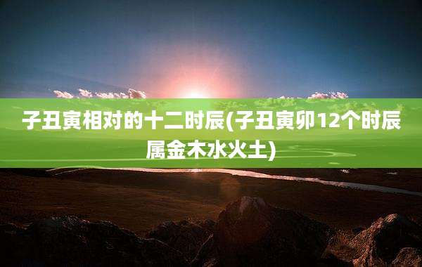 子丑寅相对的十二时辰(子丑寅卯12个时辰属金木水火土)