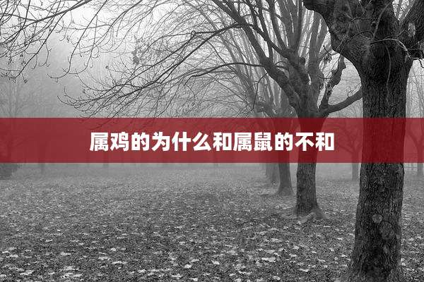 属鸡的为什么和属鼠的不和