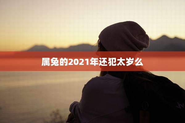 属兔的2021年还犯太岁么