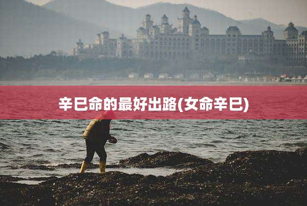 辛巳命的最好出路(女命辛巳)