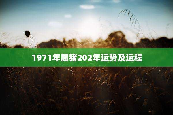1971年属猪202年运势及运程