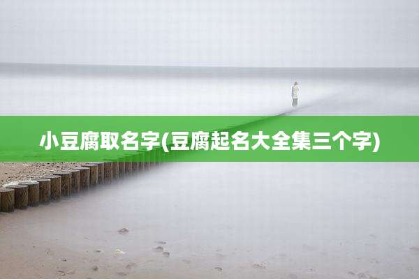 小豆腐取名字(豆腐起名大全集三个字)