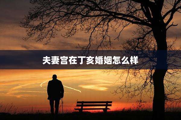 夫妻宫在丁亥婚姻怎么样