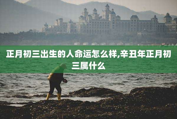 正月初三出生的人命运怎么样,辛丑年正月初三属什么