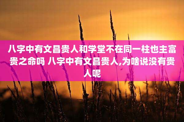 八字中有文昌贵人和学堂不在同一柱也主富贵之命吗 八字中有文昌贵人,为啥说没有贵人呢