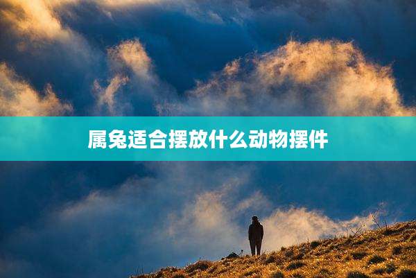 属兔适合摆放什么动物摆件