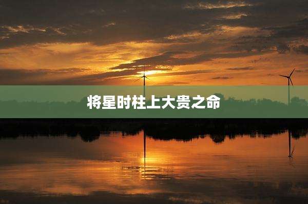 将星时柱上大贵之命