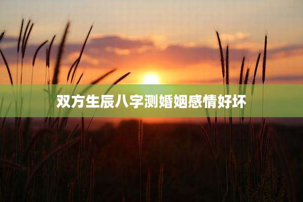 双方生辰八字测婚姻感情好坏